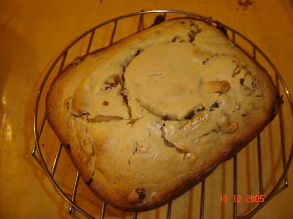 Panettonne