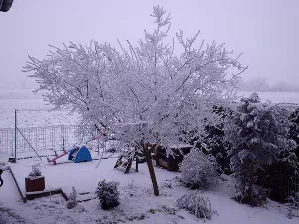 Hiver