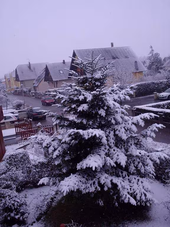Neige du 5 03