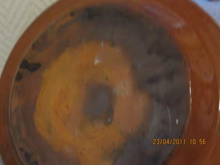 Tajine