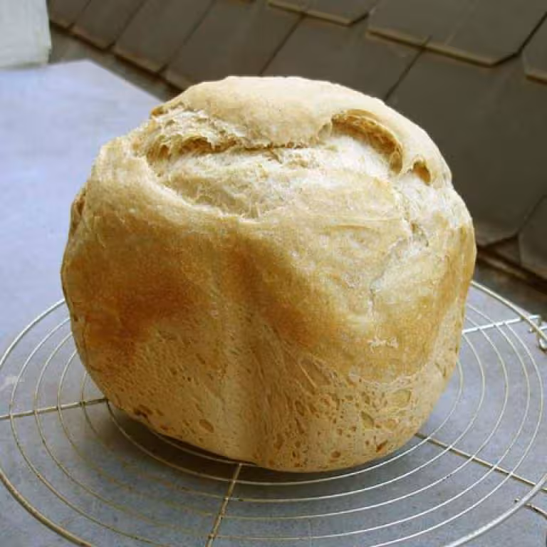Pain d epeautre