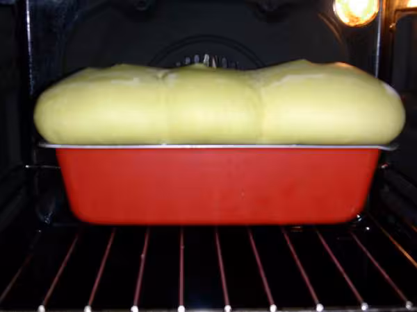 Brioche mel mie filante 1