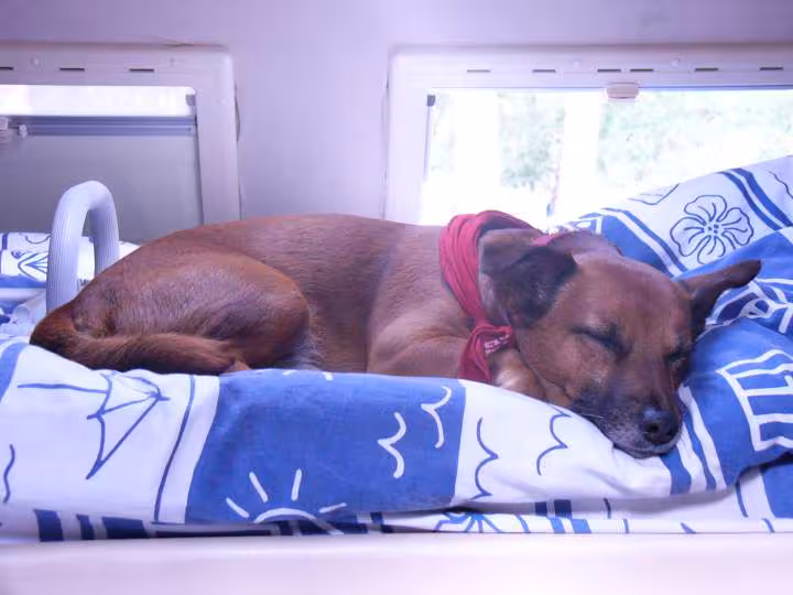 Sieste des vacances pas belle la vie