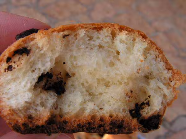 Briochette entamee