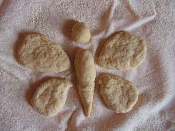 Formation du papillon
