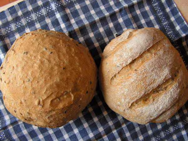 Pains cereales et abricots