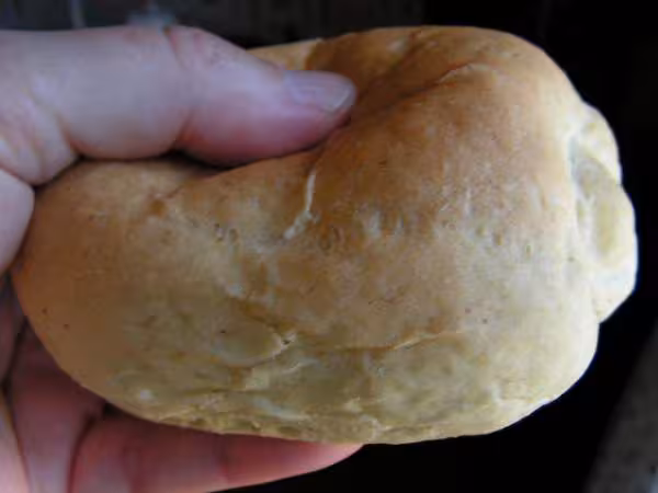Petit pain moelleux