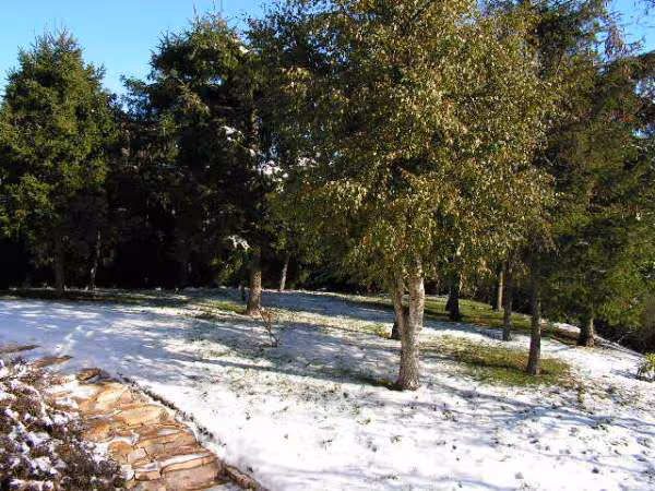 Premiere neige au 26 nov 05