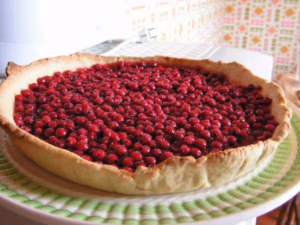 Tarte aux groseilles