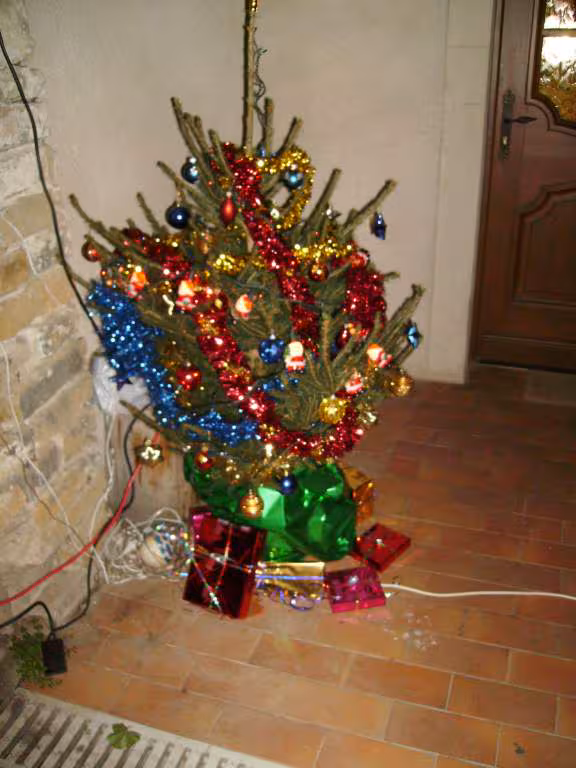 Mon sapin exterieur