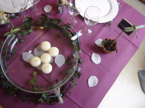 Deco table libelule