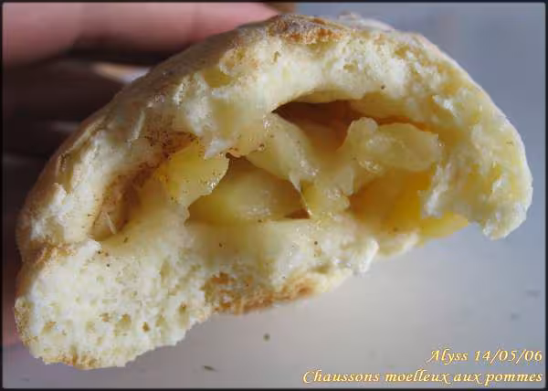 Chaussons moelleux aux pommes2