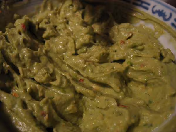 Zoom sur le guacamole allege
