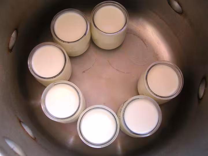 1er yaourts en cocotte