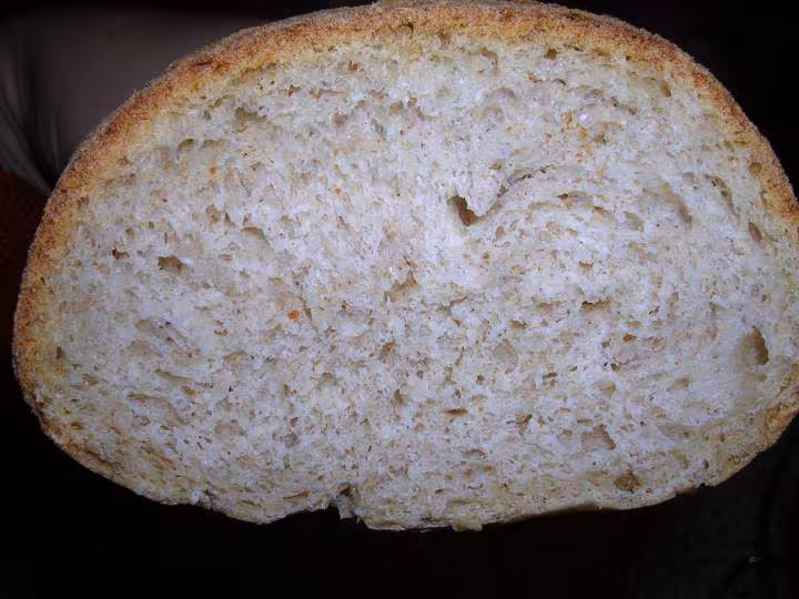 Baguette facon patchmaou farine de campagne fran ne