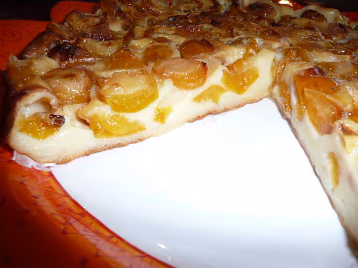 Clafoutis aux mirabelles ww zoom