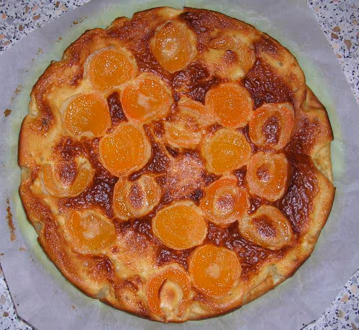 Gateau aux abricots allege