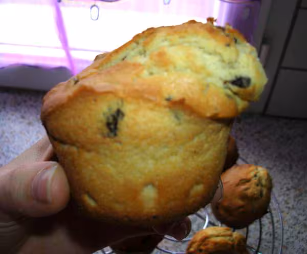 Muffins de flore88