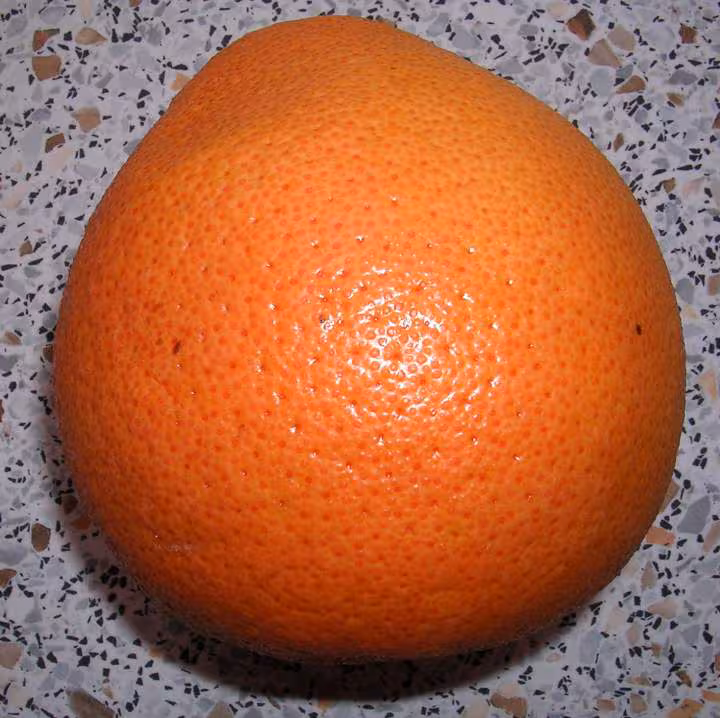Pamplemousse pour le sorbet