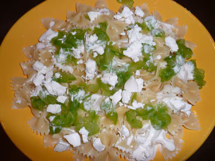 Pates a la courgette et au chevre ww