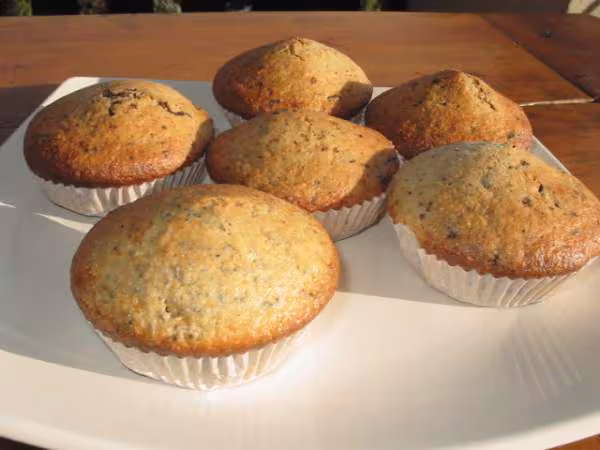 Deuxieme essai muffins