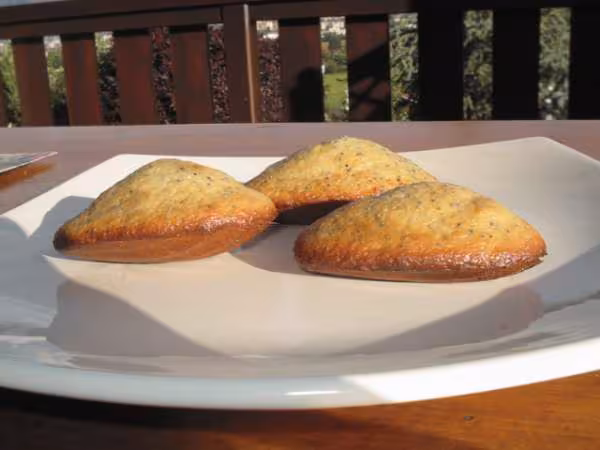 Madeleines citron pavot