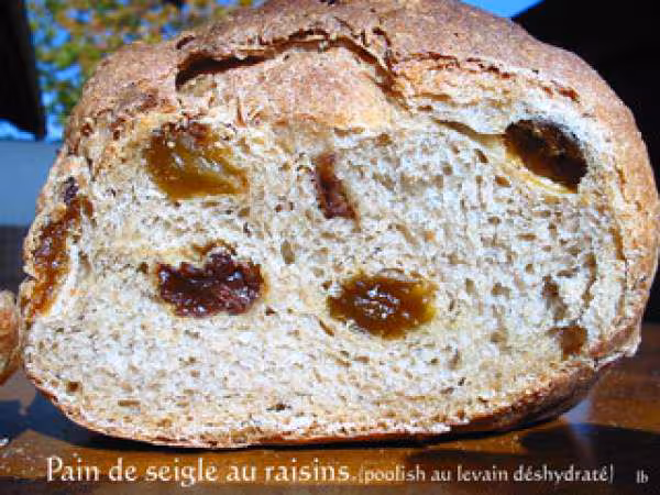 Pain de seigle aux raisins poolish au levain fermentesible