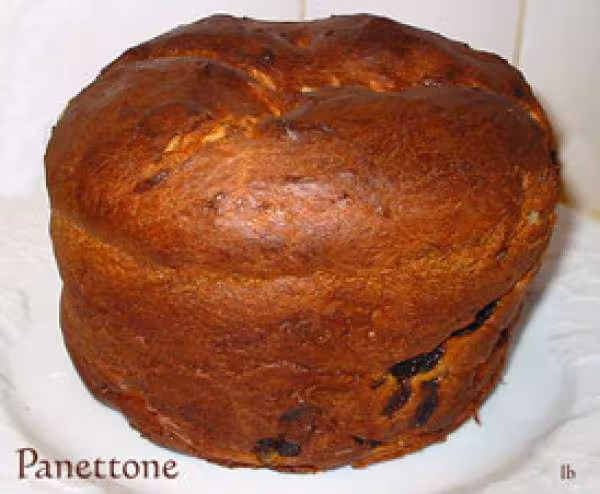 Panettone