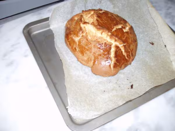 Coquille de noel