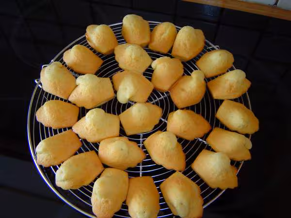 Madeleines
