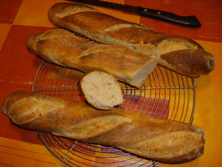 Baguettes du 18 01 2008