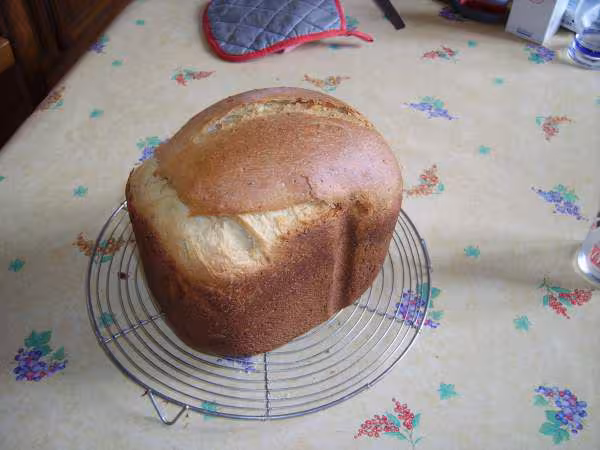Brioche de polange map pana