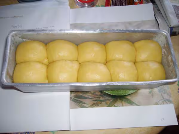 Brioche faconnee congelee le 15 mars 2006