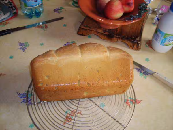 Dessous de la brioche au levain