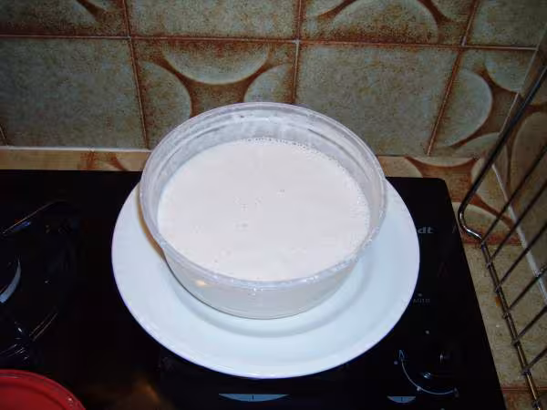 Ete le levain liquide en train de buller