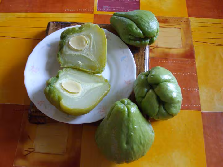 Fruits legumes nom