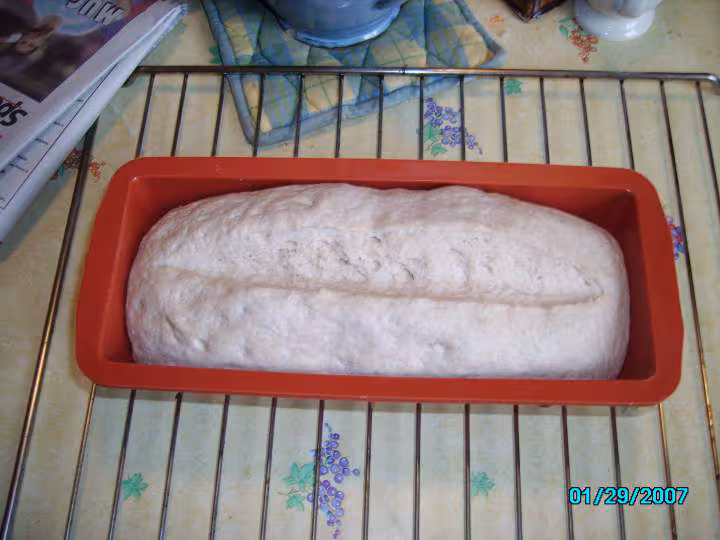 Mon pain d aujourd hui avant cuisson