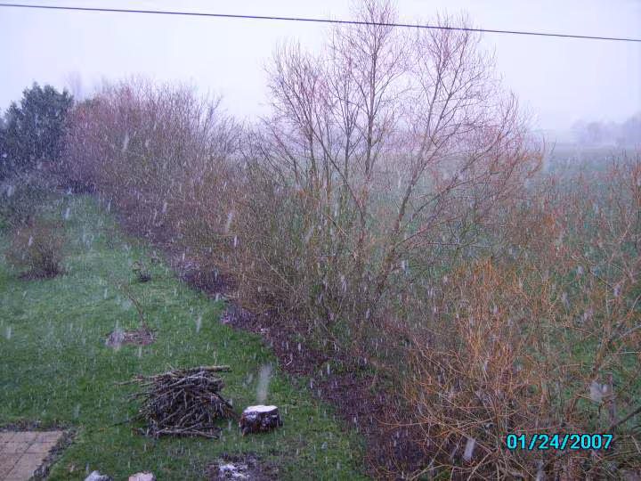 Neige du 24 janvier 2007