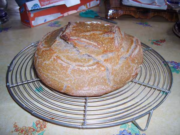 Pain au levain 25 06 06
