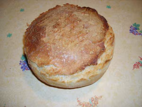 Pain au levain fermentescible