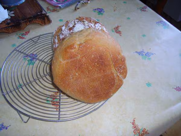 Pain levain liquide 8 g levure fraiche