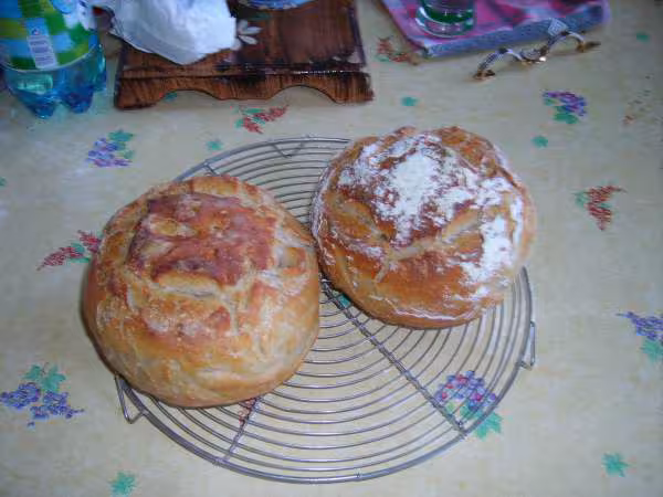 Pains cocotte au levain liquide 8 gr levure fraiche