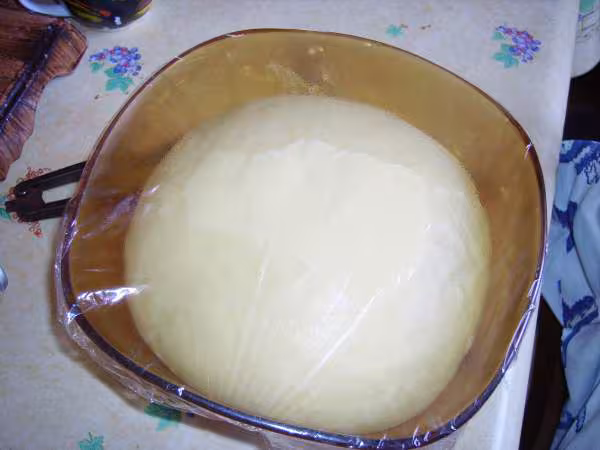Paton en cours de pousse 1ere