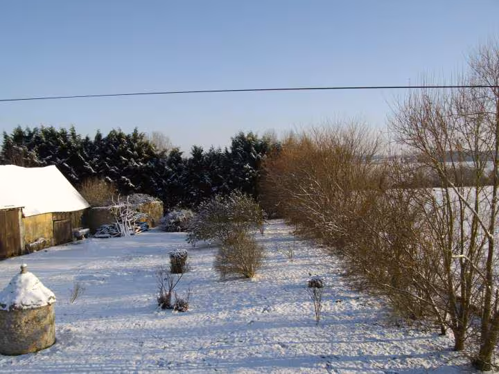 Soleil et neige