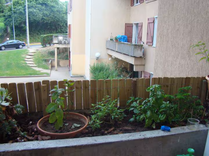 Le jardin suspendu
