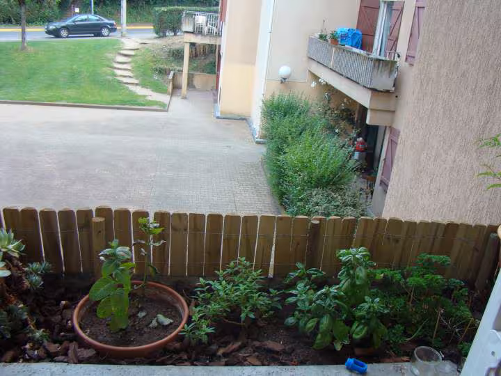 Le jardin suspendu