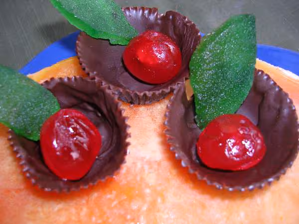 Decoration du delice abricots