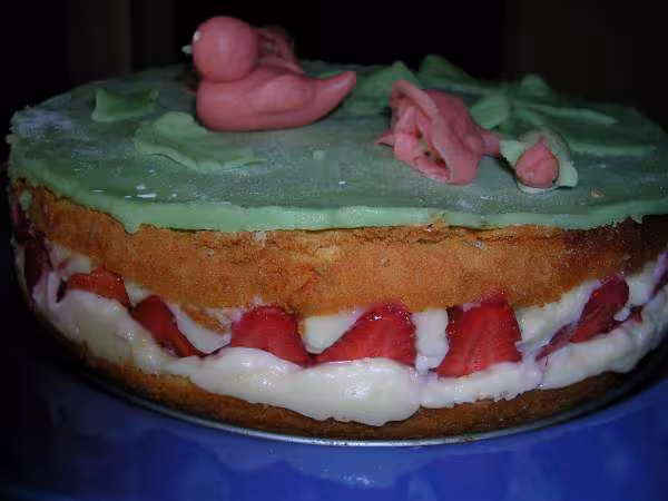 Mon fraisier