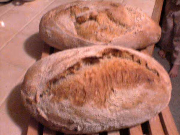 Pain rond au levain