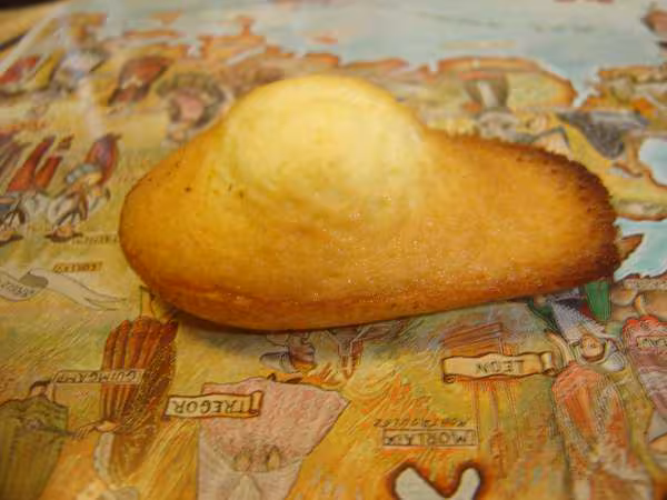 Madeleine de dax